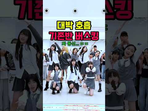 하츠투하츠 포커스 #재이월드기존반
