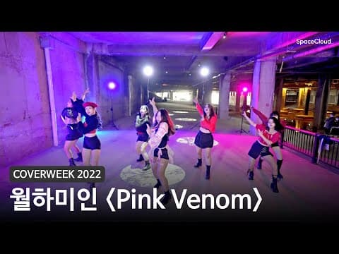 [2022 커버위크] 월하미인 'Pink Venom - 블랙핑크'