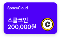 스클 코인